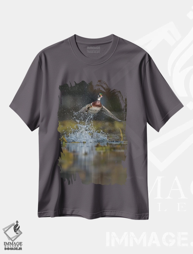تیشرت طوسی طرح دار Washington State. Male Wood Duckflying from Union Bay in Seattle.,اردک چوبی نر در حال پرواز از یونیون بی، سیاتل، واشنگتن اثر گری لوهِم