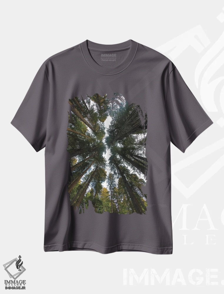 تیشرت طوسی طرح دار Del Norte Coast Redwoods State Park, California,نگاه به جنگل درختان ردوود در پارک ایالتی دل نورت کالیفرنیا اثر دارل گالین