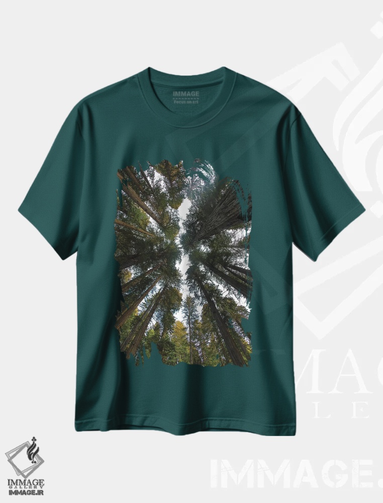 تیشرت سبز طرح دار Del Norte Coast Redwoods State Park, California,نگاه به جنگل درختان ردوود در پارک ایالتی دل نورت کالیفرنیا اثر دارل گالین