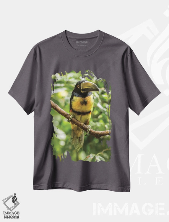 تیشرت طوسی طرح دار La Selva Biological Research Station. Collared Aricari On Limb.,کاستاریکا، ایستگاه تحقیقات زیستی لا سلوا. پرندهٔ آریکاری یقه دار روی شاخه اثر جینز گالری