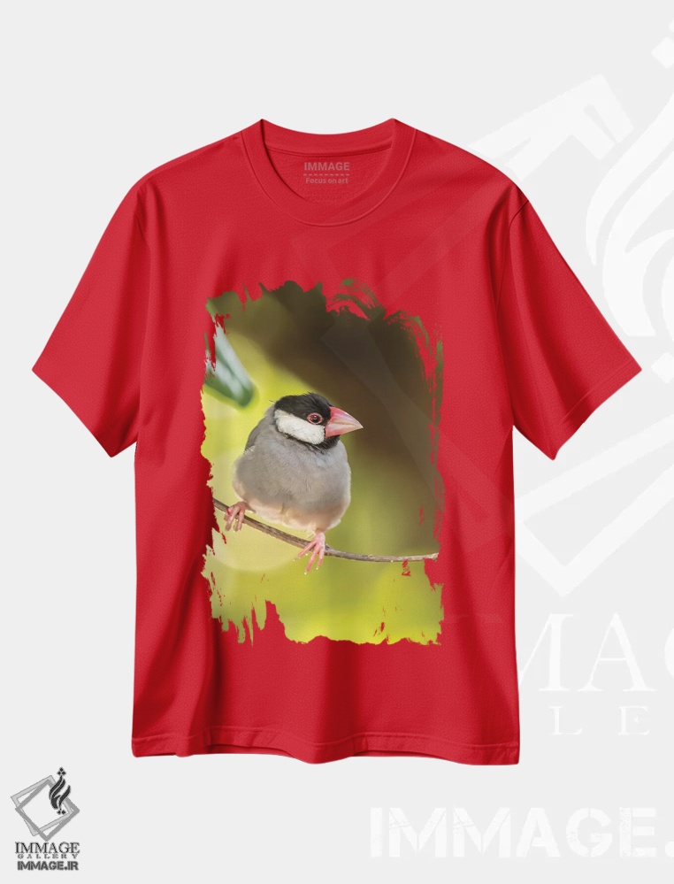 تیشرت قرمز طرح دار Hawaii, Kona. Java sparrow close-up.,آمریکا، هاوایی، کونا. نمای نزدیک گنجشک جاوه اثر جینز گالری