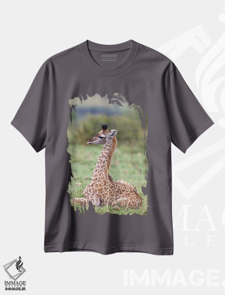 تیشرت طوسی طرح دار Masai Mara National Reserve, Kenya,زرافه جوان ماسایی در حال استراحت، منطقه حفاظت شده ماسایی مارا، کنیا اثر دارل گالین