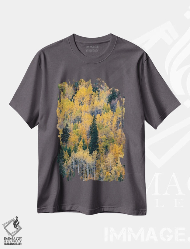 تیشرت طوسی طرح دار British Columbia. Autumn aspen and pines, Wells-Gray Provincial Park.,کانادا، بریتیش کلمبیا. درختان تبریزی و کاج پاییزی، پارک استانی ولز گری اثر جودیت زیمرمن