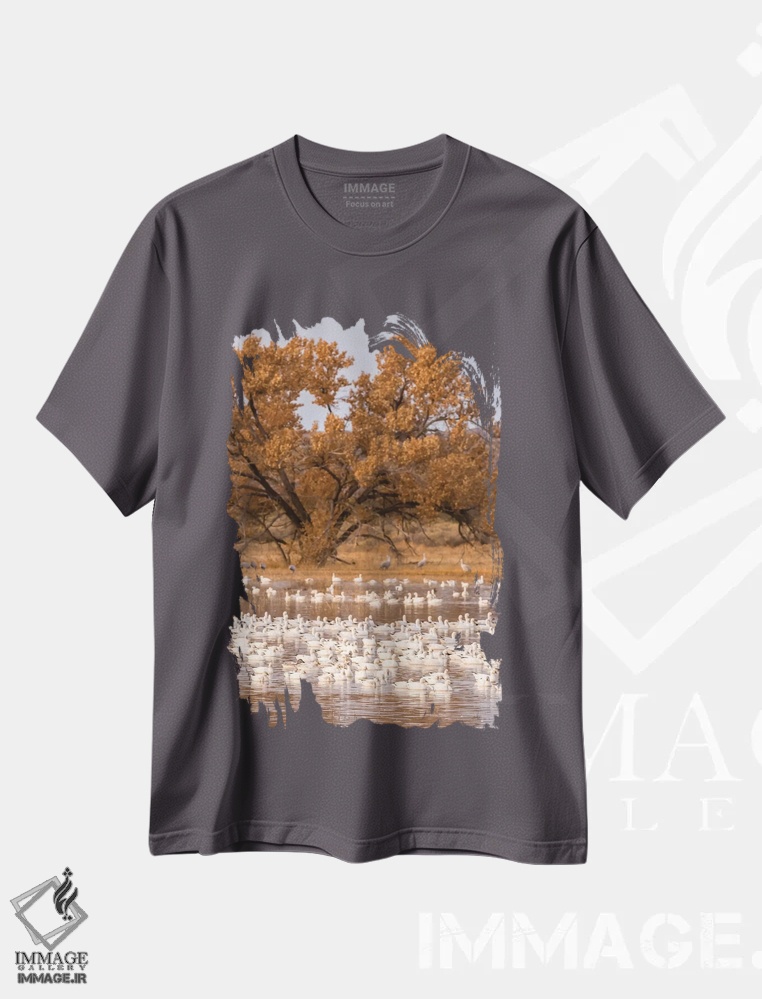 تیشرت طوسی طرح دار New Mexico, Bosque Del Apache National Wildlife Refuge. Flock of geese and cottonwood tree.,آمریکا، نیومکزیکو، پناهگاه حیات وحش ملی بوسکه دل آپاچه. دسته ای غاز و درخت تبریزی اثر جینز گالری