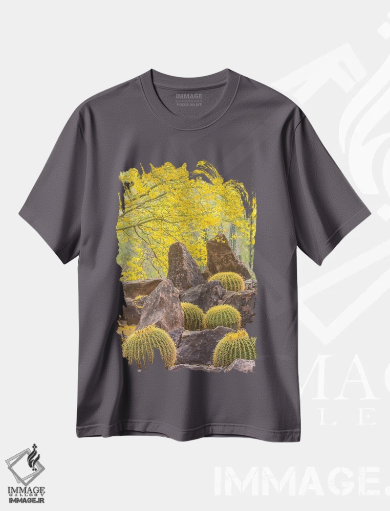 تیشرت طوسی طرح دار Arizona, Desert Botanic Garden. Cactus garden and rocks.,آمریکا، آریزونا، باغ گیاهان بیابانی. باغ کاکتوس و صخره ها اثر جینز گالری