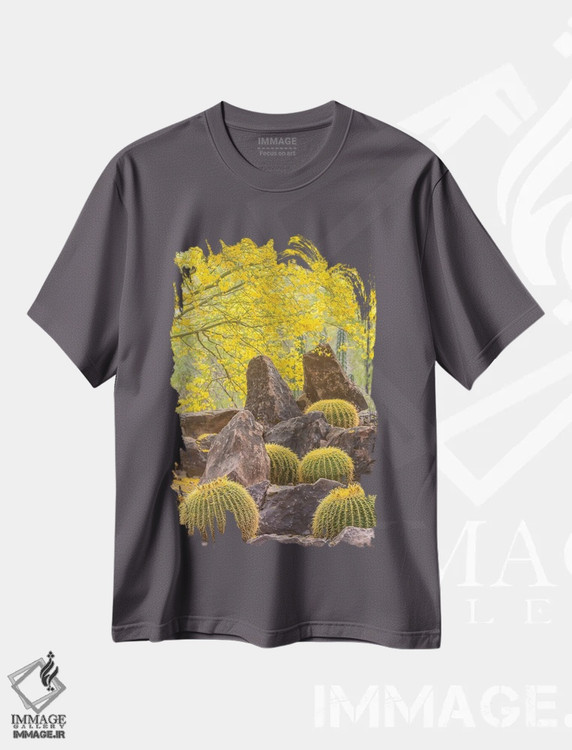 تیشرت طوسی طرح دار Arizona, Desert Botanic Garden. Cactus garden and rocks.,آمریکا، آریزونا، باغ گیاهان بیابانی. باغ کاکتوس و صخره ها اثر جینز گالری