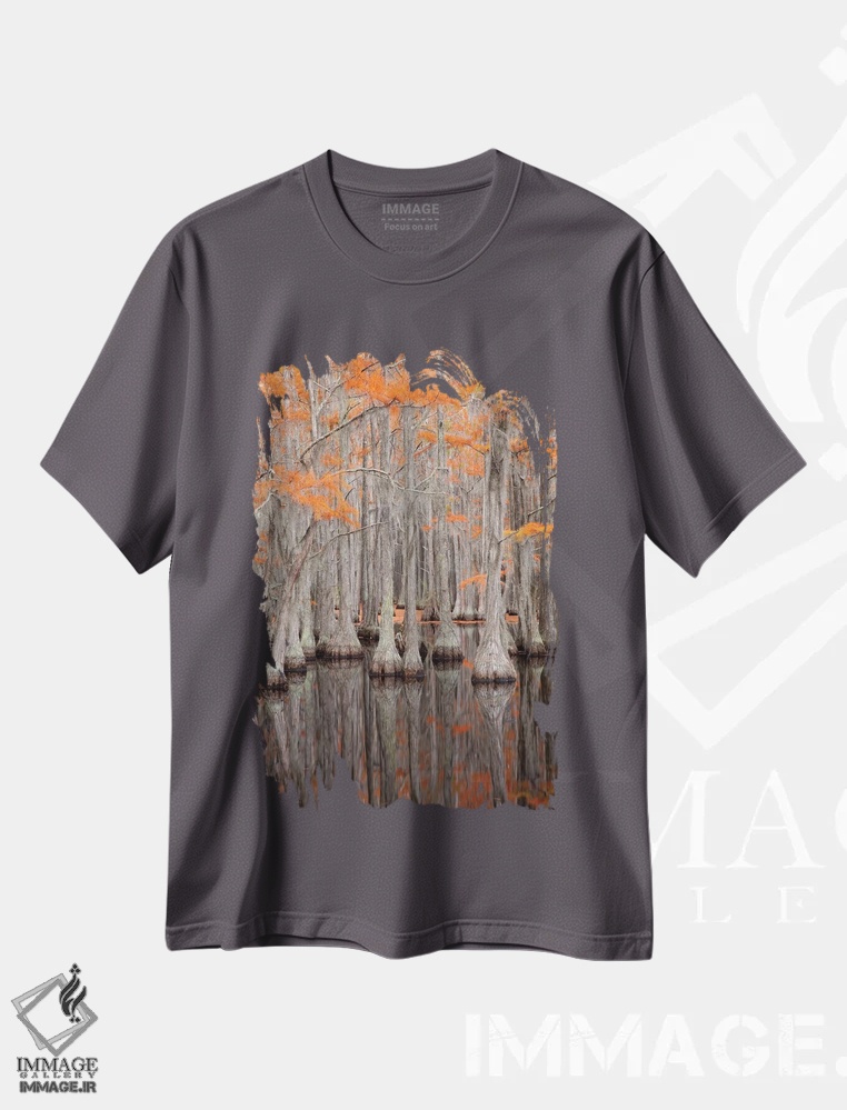 تیشرت طوسی طرح دار George Smith State Park, Georgia. Fall cypress trees.,آمریکا، پارک ایالتی جرج اسمیت، جورجیا. درختان سرو در پاییز اثر جوآن ولز