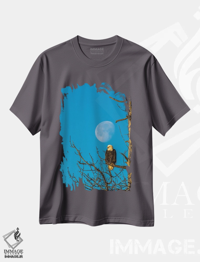تیشرت طوسی طرح دار Alaska, Chilkat Bald Eagle Preserve, bald eagle and moon,ایالات متحده، آلاسکا، منطقه حفاظت شده عقاب سرسفید چیلکت. عقاب سرسفید و ماه. اثر جینز گالری