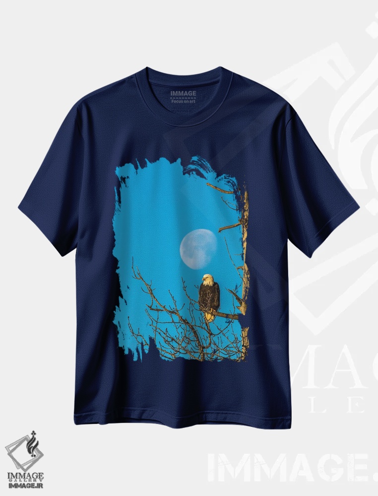 تیشرت سرمه ای طرح دار Alaska, Chilkat Bald Eagle Preserve, bald eagle and moon,ایالات متحده، آلاسکا، منطقه حفاظت شده عقاب سرسفید چیلکت. عقاب سرسفید و ماه. اثر جینز گالری