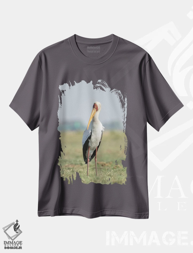تیشرت طوسی طرح دار Botswana, Chobe National Park. Yellow-billed stork close-up.,آفریقا، بوتسوانا، پارک ملی چوبه. نمای نزدیک لک لک منقارزرد اثر جینز گالری