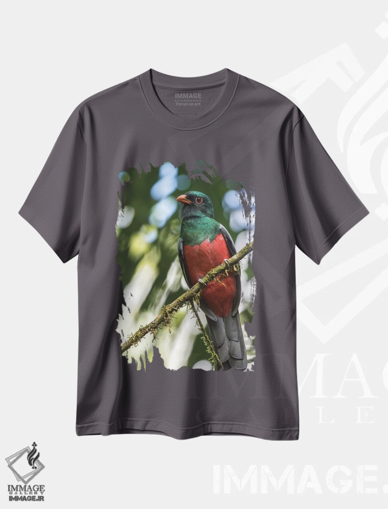 تیشرت طوسی طرح دار La Selva Biological Station. Slaty-Tailed Trogon On Limb.,کاستاریکا، ایستگاه زیستی لا سلوا. پرندهٔ تروگون دم سنگی روی شاخه اثر جینز گالری