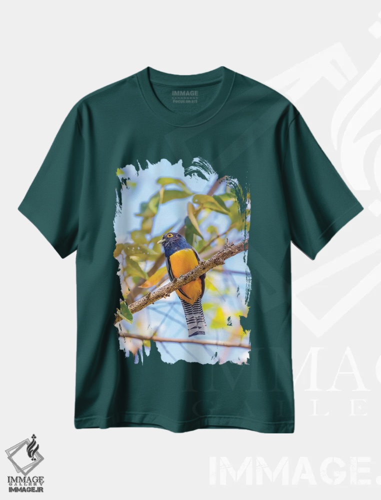 تیشرت سبز طرح دار Costa Rica. Male gartered trogon.,آمریکای مرکزی، کاستاریکا. پرنده تروگون نر با کمربند رنگی اثر جینز گالری
