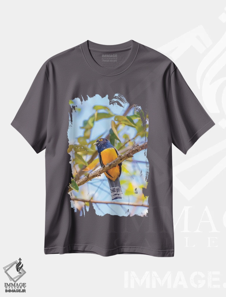 تیشرت طوسی طرح دار Costa Rica. Male gartered trogon.,آمریکای مرکزی، کاستاریکا. پرنده تروگون نر با کمربند رنگی اثر جینز گالری