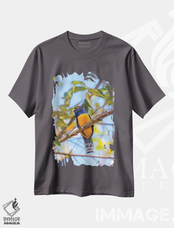 تیشرت طوسی طرح دار Costa Rica. Male gartered trogon.,آمریکای مرکزی، کاستاریکا. پرنده تروگون نر با کمربند رنگی اثر جینز گالری
