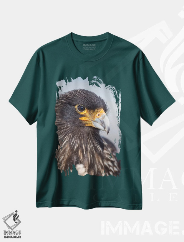 تیشرت سبز طرح طبیعت ,Protected, Endemic To The Falkland Islands.,کاراکارا خط دار بالغ، حفاظت شده، بومی جزایر فالکلند اثر مارتین زویک