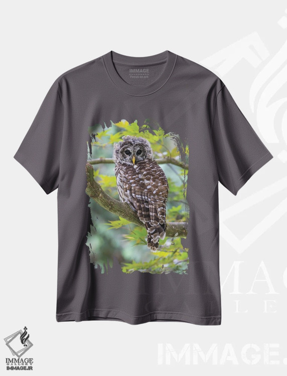 تیشرت طوسی طرح دار Washington State, Sammamish Barred Owl Perched In Japanese Maple Tree,آمریکا، واشنگتن، جغد خط دار نشسته بر درخت افرا ژاپنی در سامامیش اثر دارل گالین