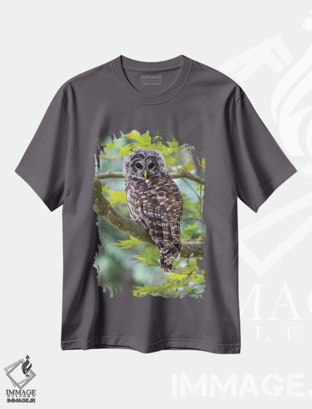 تیشرت طوسی طرح دار Washington State, Sammamish Barred Owl Perched In Japanese Maple Tree,آمریکا، واشنگتن، جغد خط دار نشسته بر درخت افرا ژاپنی در سامامیش اثر دارل گالین