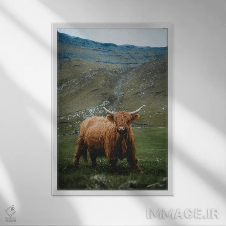 تابلو دکوراتیو گاومیش کوهستانی اثر استفن فوس بک - نمای قابدار سفید