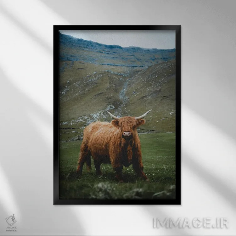 تابلو دکوراتیو گاومیش کوهستانی اثر استفن فوس بک - نمای قابدار مشکی