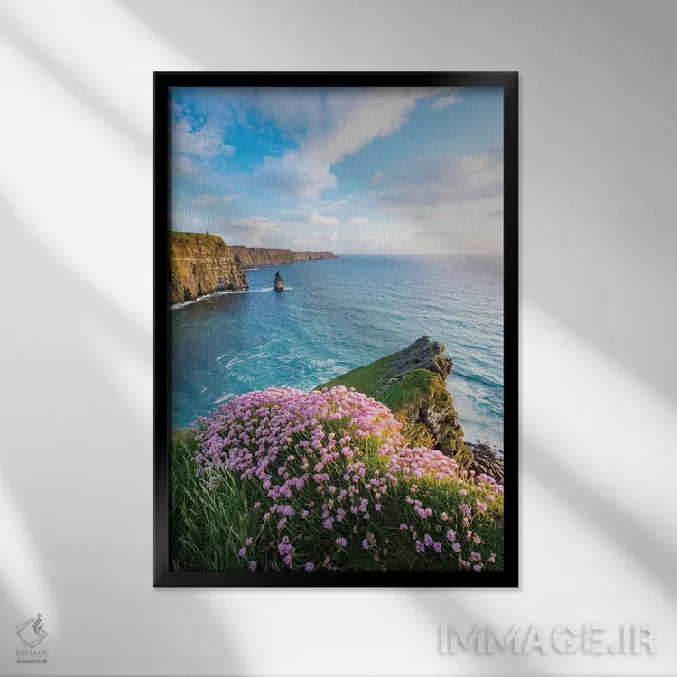 تابلو دکوراتیو گل دریایی لبه پرتگاه اول، صخره های موهر، شهرستان کلیر، ای… اثر گارث مک کورمک - نمای قابدار مشکی