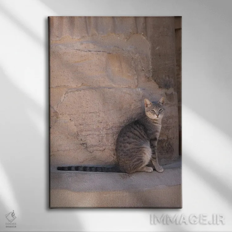 تابلو دکوراتیو گربه در معبد اثر گیلیارد برسسان - نمای روبهرو روی دیوار