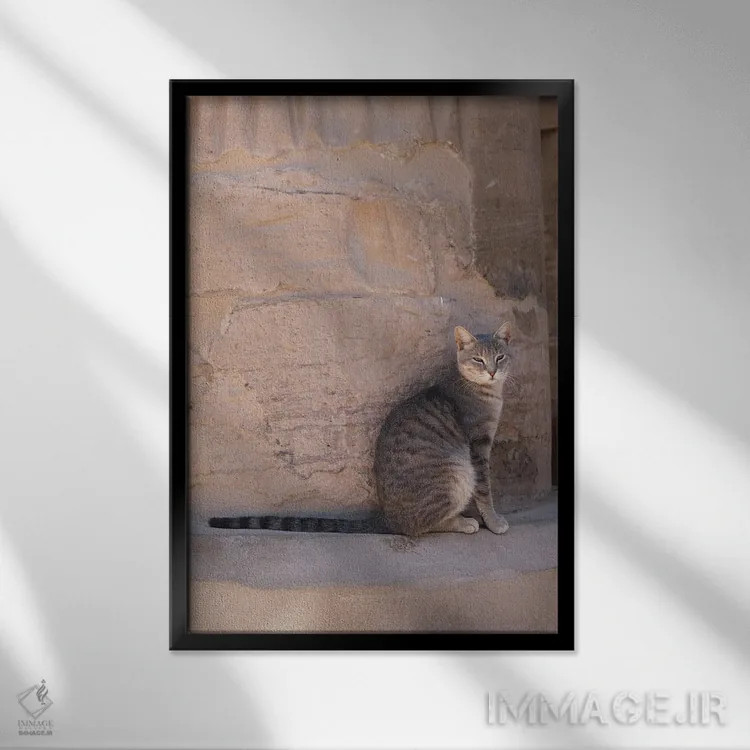 تابلو دکوراتیو گربه در معبد اثر گیلیارد برسسان - نمای قابدار مشکی