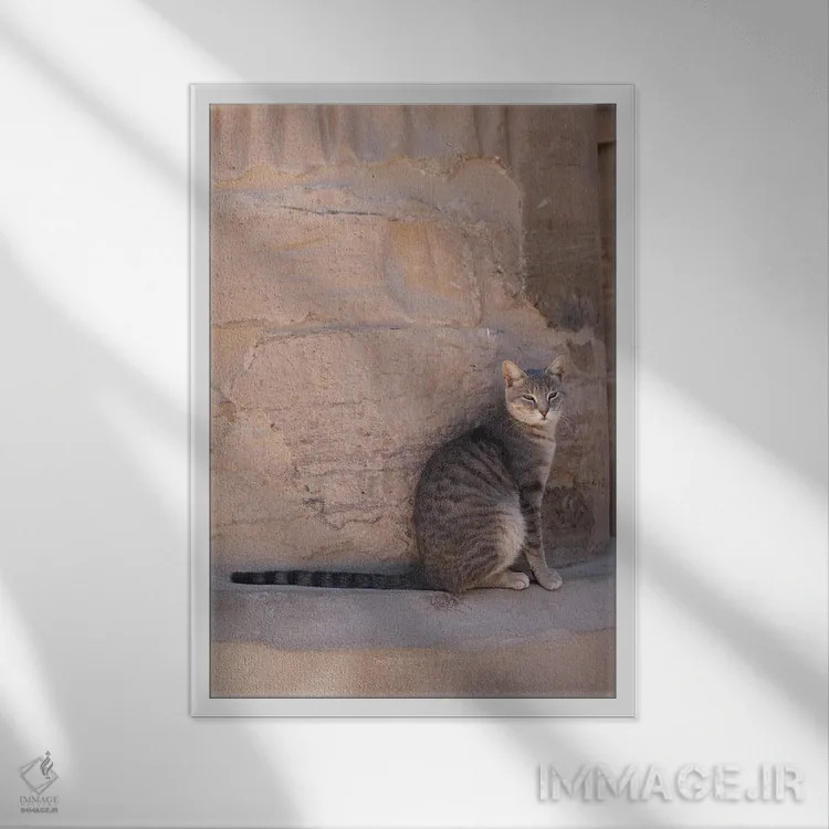 تابلو دکوراتیو گربه در معبد اثر گیلیارد برسسان - نمای قابدار سفید