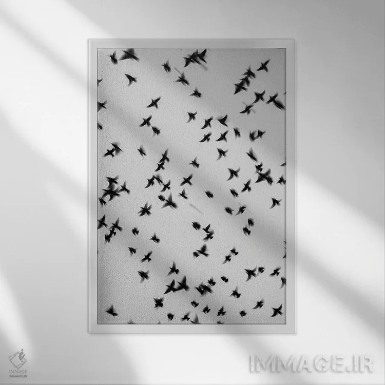 تابلو دکوراتیو پرستوها اثر گیلیارد برسسان - نمای قابدار سفید
