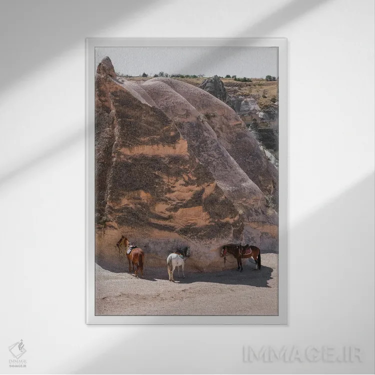 تابلو دکوراتیو سه اسب اثر گیلیارد برسسان - نمای قابدار سفید