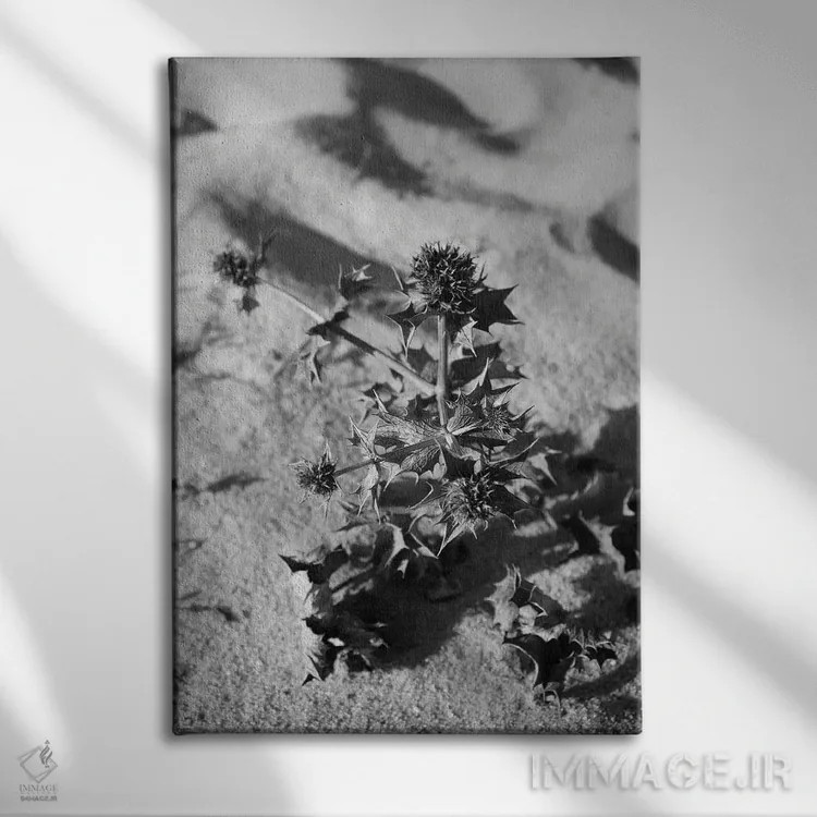 تابلو دکوراتیو گیاه تابستانی در ساحل اثر گیلیارد برسسان - نمای روبهرو روی دیوار