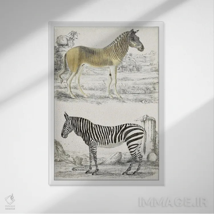 تابلو دکوراتیو دفتر اول تاریخ طبیعی اثر ژرژ کوویه - نمای قابدار سفید