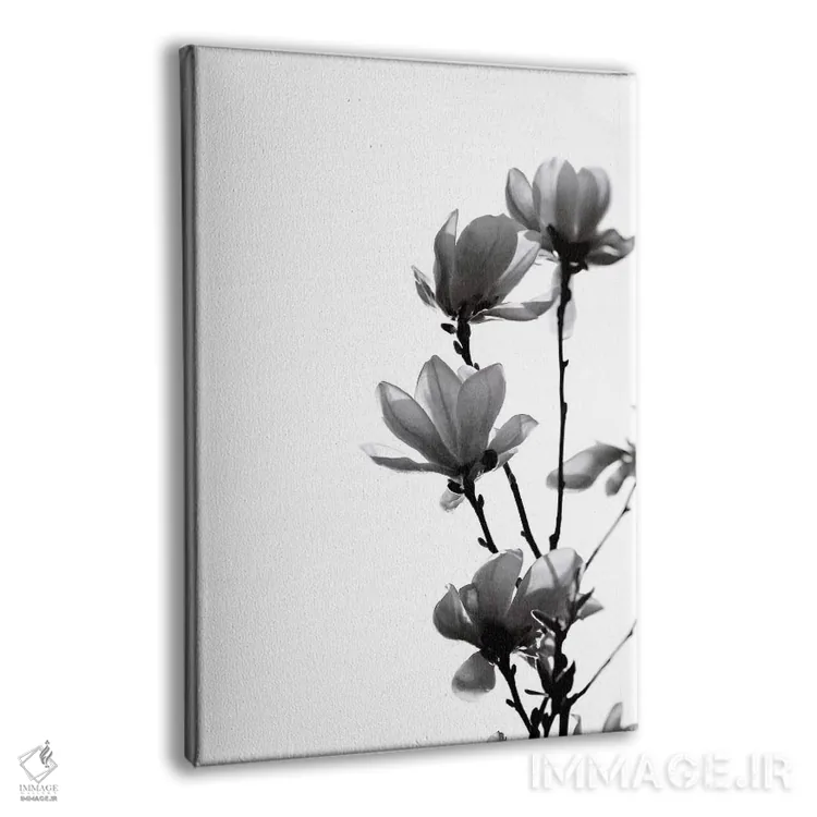 تابلو مینیمال مگنولیا سیاه اثر مونیکا استریگل - نمای پرسپکتیو محصول