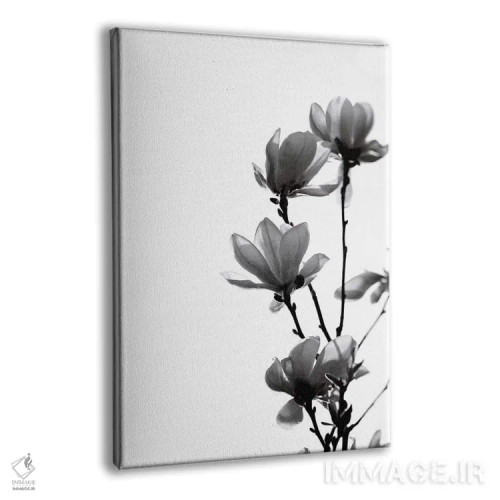 تابلو مینیمال مگنولیا سیاه اثر مونیکا استریگل - نمای پرسپکتیو محصول