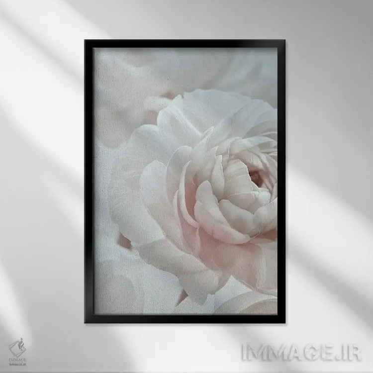 تابلو دکوراتیو شکوفه سفید I اثر مونیکا استریگل - نمای قابدار مشکی