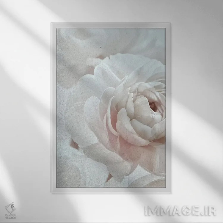 تابلو دکوراتیو شکوفه سفید I اثر مونیکا استریگل - نمای قابدار سفید