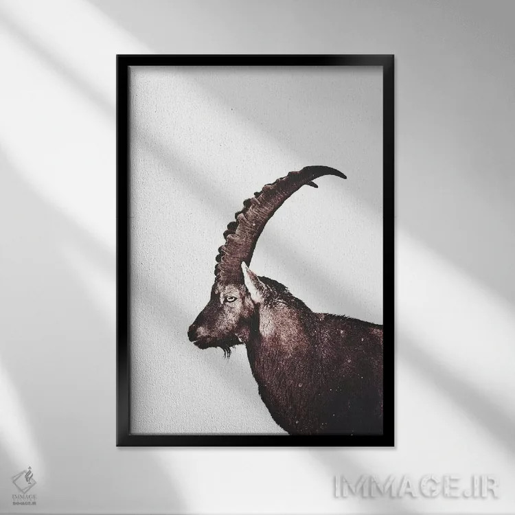 تابلو دکوراتیو بزماهی در برف اثر مونیکا استریگل - نمای قابدار مشکی