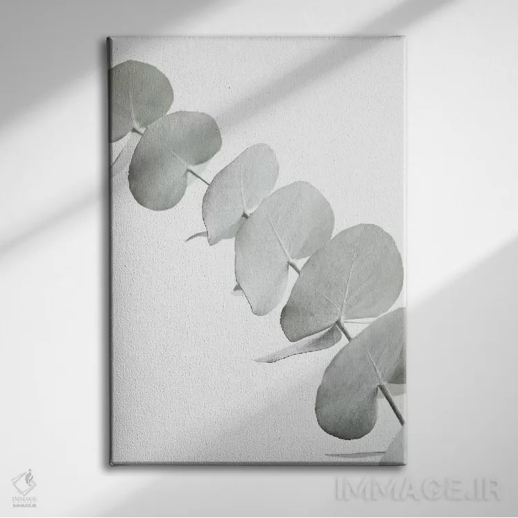تابلو مینیمال اکالیپتوس سفید III اثر مونیکا استریگل - نمای روبهرو روی دیوار