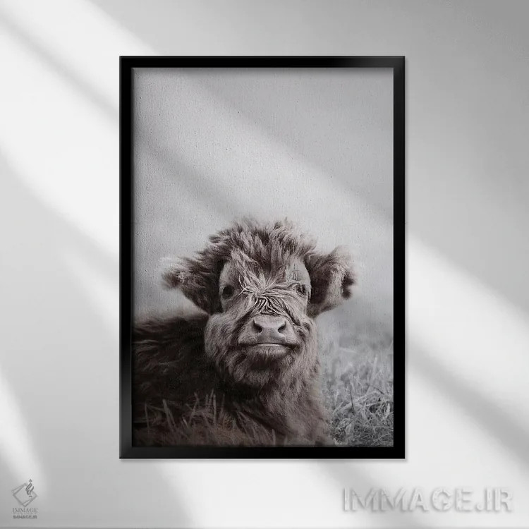 تابلو مدرن گوساله گاو کوهستانی اثر مونیکا استریگل - نمای قابدار مشکی