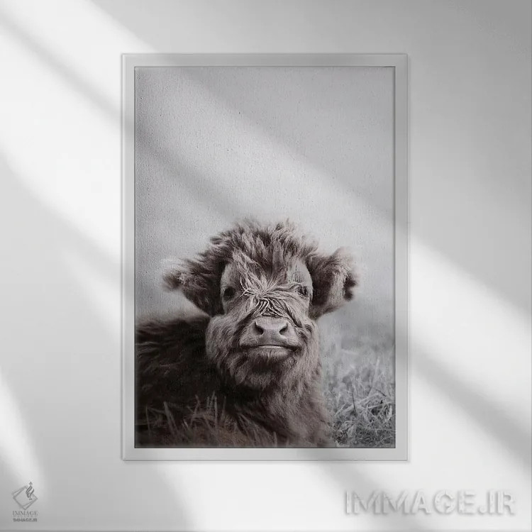 تابلو مدرن گوساله گاو کوهستانی اثر مونیکا استریگل - نمای قابدار سفید