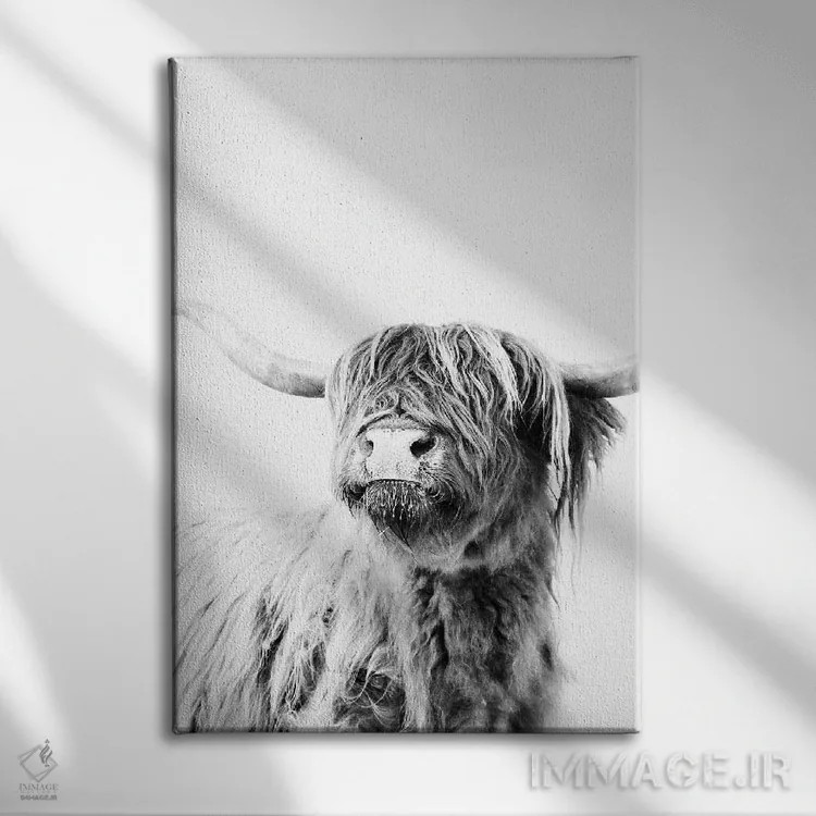 تابلو مدرن گاو کوهستانی فریدا II اثر مونیکا استریگل - نمای روبهرو روی دیوار