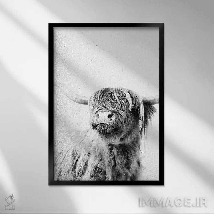 تابلو مدرن گاو کوهستانی فریدا II اثر مونیکا استریگل - نمای قابدار مشکی