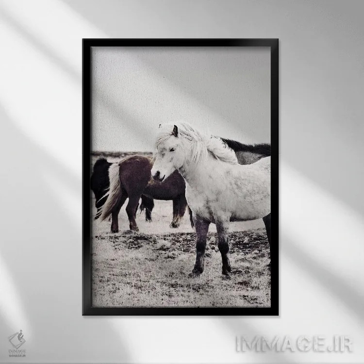 تابلو مدرن اسب ایسلندی بیارمی اثر مونیکا استریگل - نمای قابدار مشکی