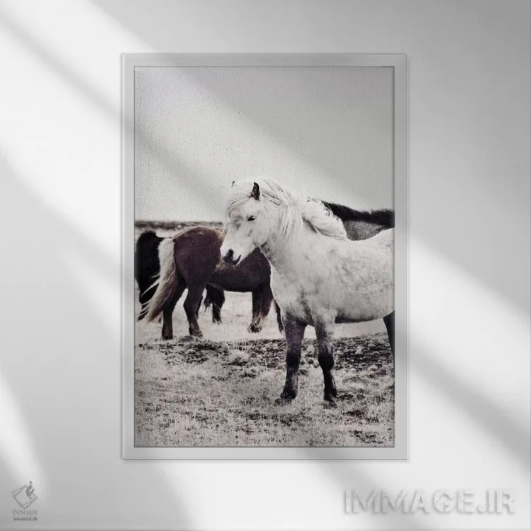 تابلو مدرن اسب ایسلندی بیارمی اثر مونیکا استریگل - نمای قابدار سفید