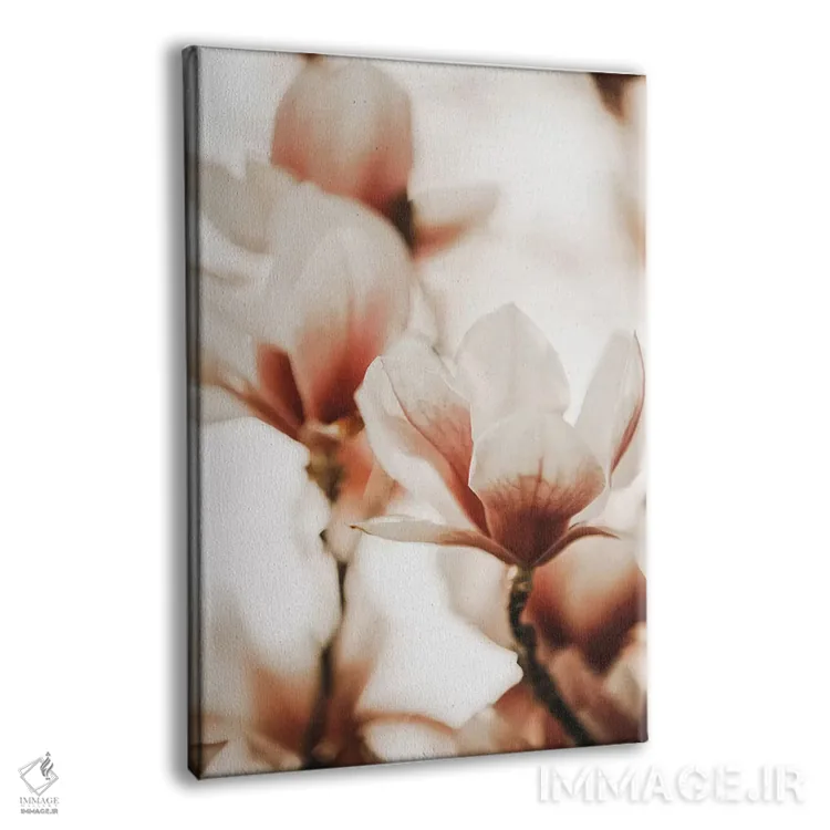 تابلو دکوراتیو مگنولیا هلویی I اثر مونیکا استریگل - نمای پرسپکتیو محصول