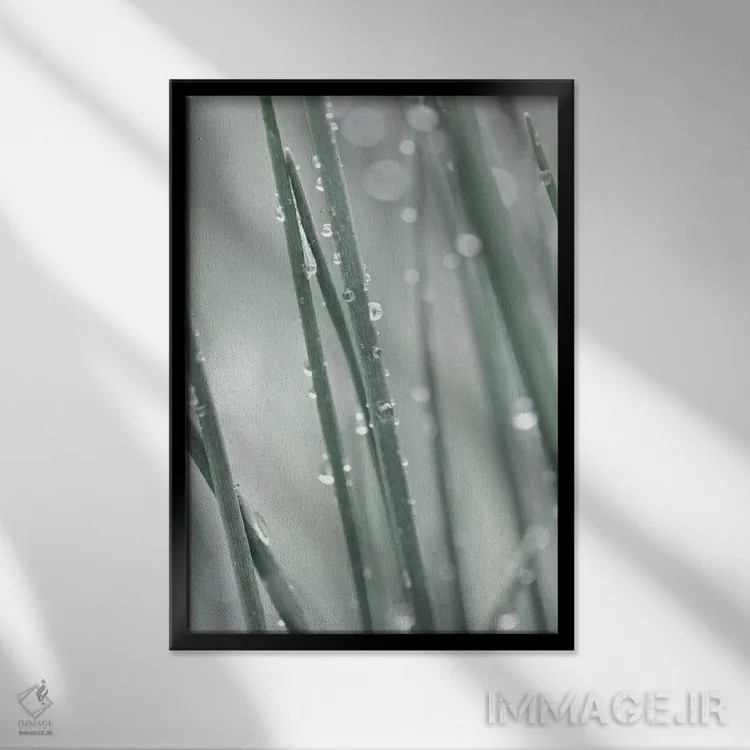 تابلو دکوراتیو چمن کم رنگ اثر مونیکا استریگل - نمای قابدار مشکی