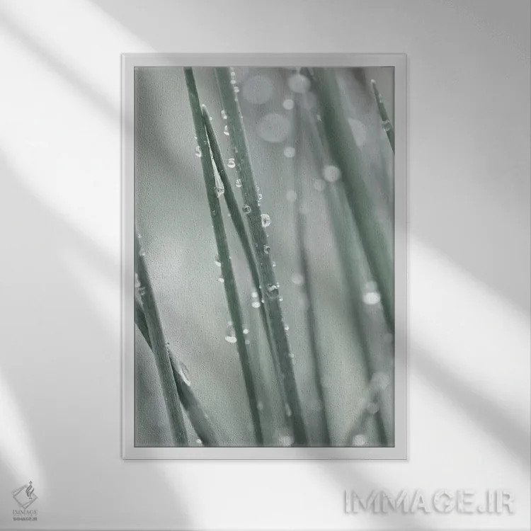 تابلو دکوراتیو چمن کم رنگ اثر مونیکا استریگل - نمای قابدار سفید