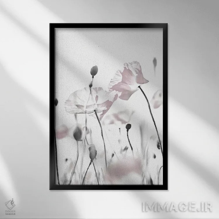 تابلو مدرن شقایق سفید I اثر مونیکا استریگل - نمای قابدار مشکی