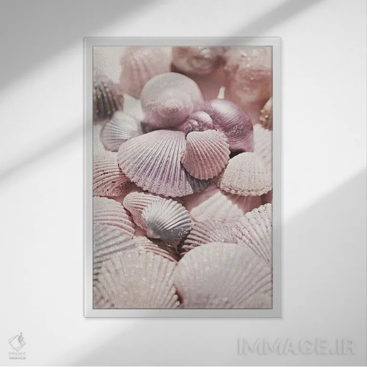 تابلو دکوراتیو صدف و اکلیل اثر مونیکا استریگل - نمای قابدار سفید