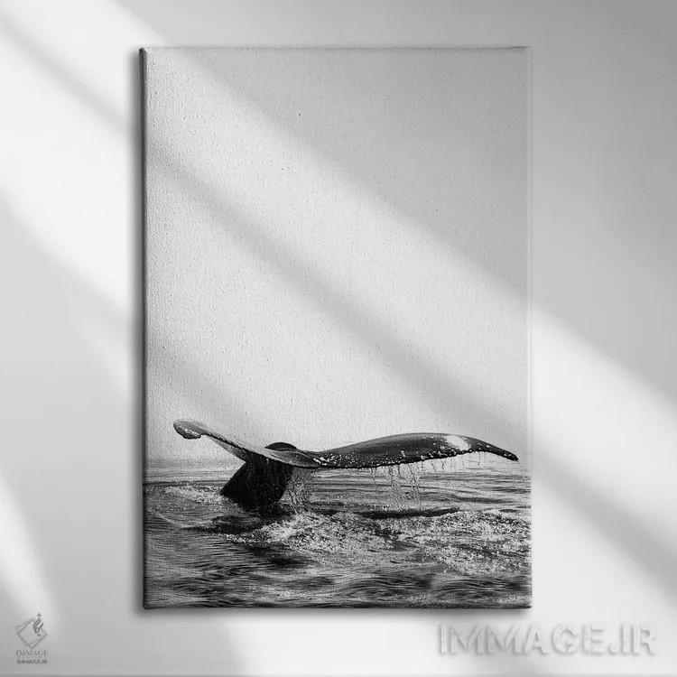 تابلو دکوراتیو آواز نهنگ I ایسلند سیاه و سفید اثر مونیکا استریگل - نمای روبهرو روی دیوار