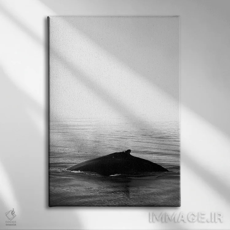 تابلو دکوراتیو آواز نهنگ III سیاه ایسلند اثر مونیکا استریگل - نمای روبهرو روی دیوار